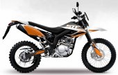 2010 Dafier STF 125 photo